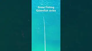 Drone Fishing K&rsquo;gari. Trolling with Mavic Air 2s