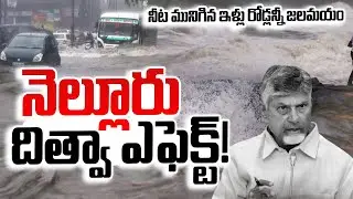Ditwah Cyclone Impact Nellore | Ditwa' Cyclone Impact | Ditwah Cyclone Ap | @SumanTVOnline