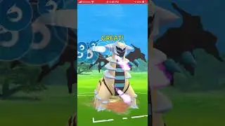 GBL throwback to Season 4 day 15 : one team to legend
