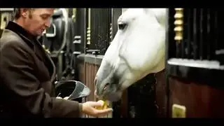 Lipizzanner Edit