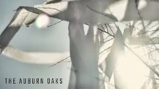 The Auburn Oaks: A Tradition Unlike Any Other