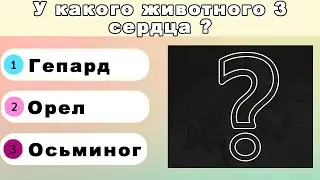 УГАДАЙ КАКОЙ ФАКТ ПРИНАДЛЕЖИТ ЖИВОТНЫМ🐼ЧЕЛЛЕНДЖ! ЧАСТЬ 2