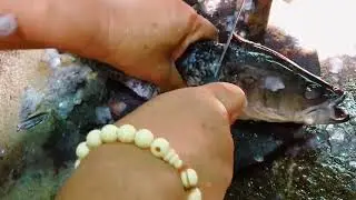 OMG ! Fish Cutting Skills | Amazing Chopping Technique