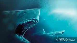 The Meg 2018 Song
