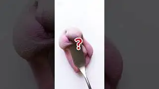 Creating the perfect palette 🎨
