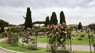 Beautiful Rose Garden in Rome! 🌹🥀🌹Roseto Comunale! 💝