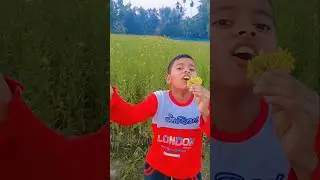 #shorts😆😆#funny #comedy #realfools #monkey #funnycomedy #viralshort #viralvideos #foryou #trending