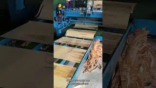 High Speed Core Veneer Rotary Peeling Machine #machine #wood #veneer #plywood #plywoodmachine