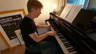Franz Schubert - Winterreise D911 - Die Wetterfahne (piano transcription)