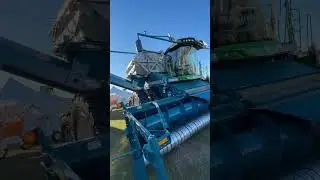 The new amadas 9990 peanut picker