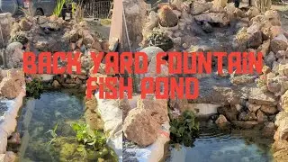 HOW I BUILD MY BACK YARD FISH POND