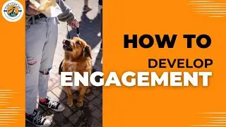 Dog Training Tips: Engagement With Movement & Food Rewards