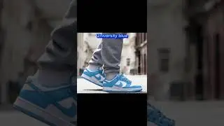 Best Nike Dunk colorways