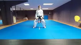 Parallel Ready stane punch Sitting stance punch