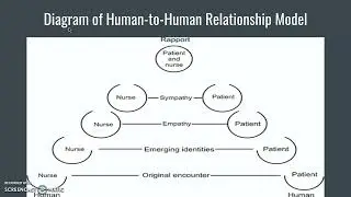 Human-to-Human Relationship Model