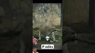 Strongest animals💀🔥/ #animals #stronganimals #respect #shrotsvideo #viralvideo #iloveyoutube