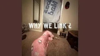 Why We Link