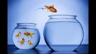 Know Who You Are