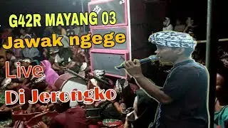 G42R MAYANG 03 Jawak ngege..