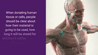 Human Tissue Authority