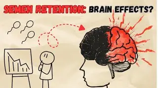 What Does Semen Retention REALLY Do to Your Brain?