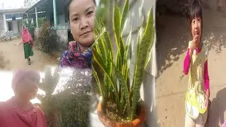 Aswk din ni pore se vlog || Rita db official vlog ||