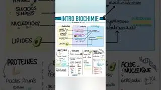 intro biochimie #fichederevision #shortvideo #share #subscribe #cours #fiches
