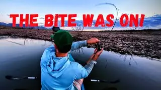 Roosevelt Lake Morning Bite Was ON FIRE (Arizona Fishing)