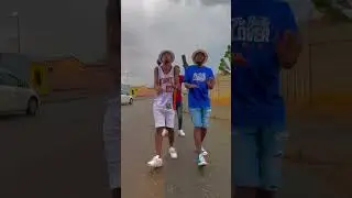 Laste Hond to skillful #dance