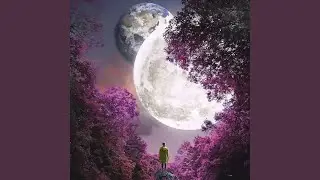 Still Feel You Here