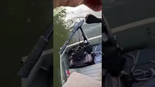 Зимой ловлю басов.