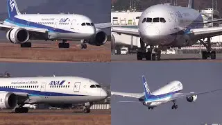 26/01/17 松山空港 全日本空輸 ANA Boeing 787-8 (JA812A) Arrival & Departure at Matsuyama Airport, RJOM