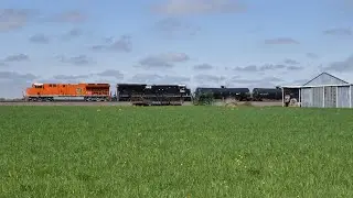 Chasing a CN Heritage Unit Duo