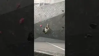 Pocket Throw V8