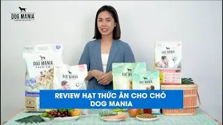Review Thức ăn hạt cho ch&oacute; Dog Mania c&oacute; tốt kh&ocirc;ng? | Fusion Group TV