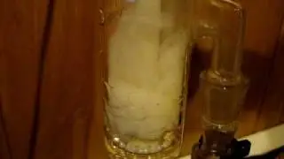 Toro 