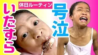 【小学生Vlog】小2大号泣😭休日の夕方から寝るまでルーティン！いたずらっ子ミーミに密着✨
