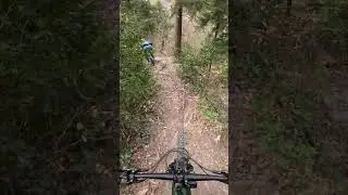 Steil und wurzlig🤯 Hammer Trail in Z&uuml;rich🤘#mtb #mtblife #fun #shorts #short #shortvideo #goodvibes