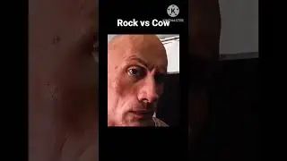 Who did it BETTER||. ROCK vs COW || #troll face #shorts #sigma || troll