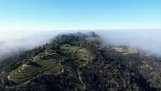 MG Concierge - Napa Valley's Premier Luxury Travel Agency and Concierge Service