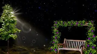 Видеоэффекты для фона цветника HD с эффектом лунного света, шаблон черного экрана