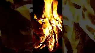 🔥 FIND YOUR ZEN: TRAVEL INTO THE RELAX WORLD OF OUR FIREPLACE&nbsp;VIDEO #shorts