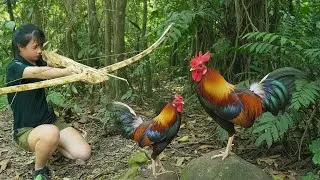 120 Hours: Alone in the Rainforest - The Girl Crafted a Crossbow and Caught Her First Chicken
