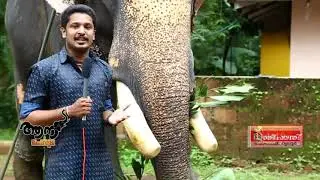 Thiruvegappura Maheswaran ( aana peruma episode -17 )