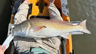 Kayak Fly Fishing for Redfish in Louisiana - My Biggest Redfish Yet!