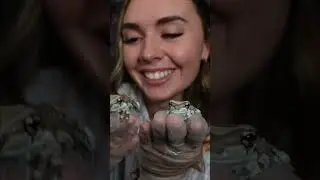 Экскурсия с домашними животными!!!