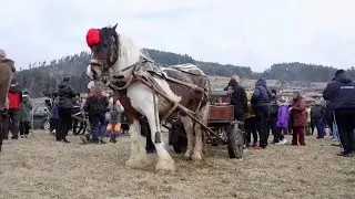 В болгарском городке Великий пост начинается с праздника лошадей