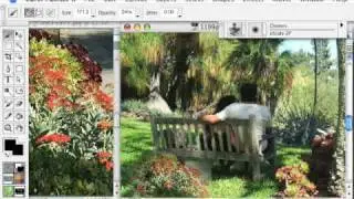 Painting with Corel Painter's xScale 2P variant