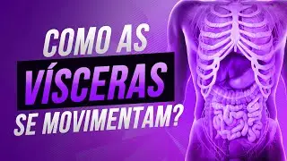 Como as VÍSCERAS se movimentam?