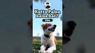 Kutta Palna In Islam? |M NAQEEB E AZAM| @Ask_Deen #shorts #video #dog #kutta #youtube #byan #pets